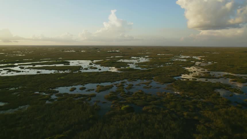 A pond in a grassland area is displayed at dusk