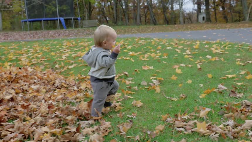 A child is walks through leaves in a field as a woman races by