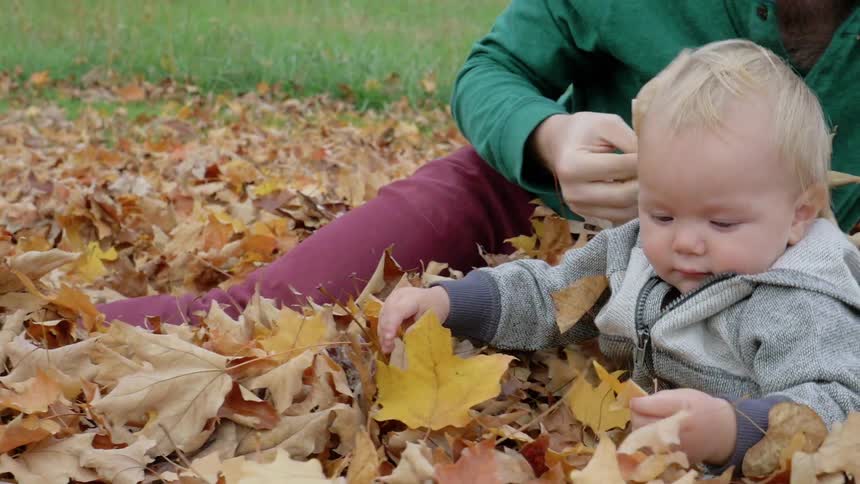 A child and parents play in a pile of leaves