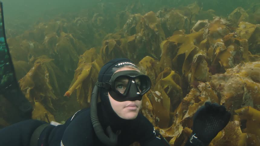A female scuba diver swimming over seaweed in an ocean