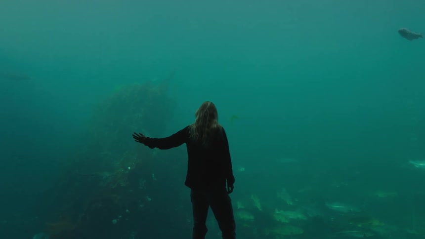 A woman is standing at an aquarium watching the fish and she puts her hand on the glass