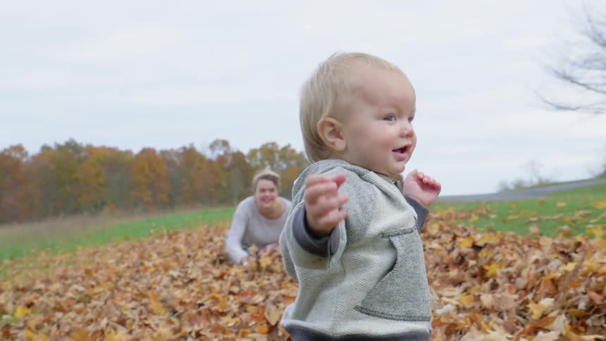 A child walks in the leaves on a lawn