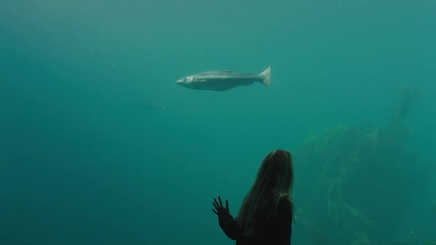 Young woman watching a fish swim by in a indoors huge aquarium