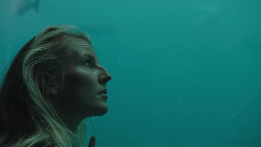 A woman is looking through the glass at the fish in an aquarium