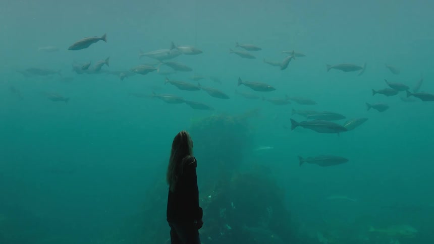 A woman is standing in front of the glass at an aquarium watching the fish