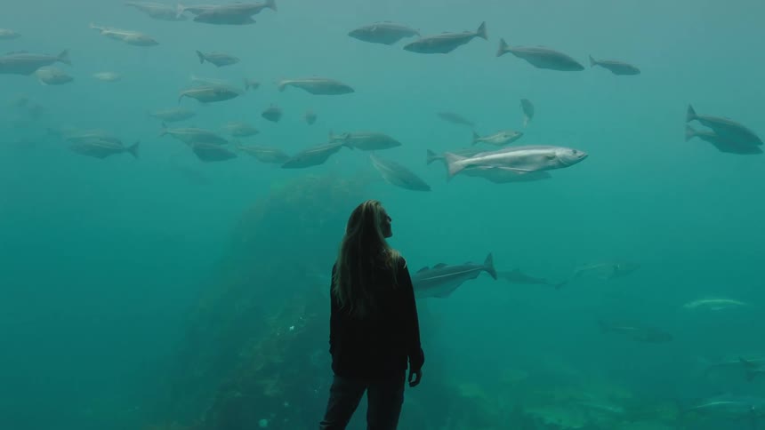 A woman is standing in front of the glass at an aquarium watching the fish
