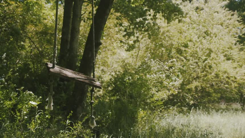 A swing in a tree is moving as the trees and plants sway in the breeze