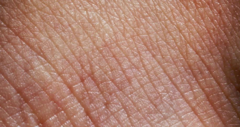 Extreme close up of the surface of the skin of a person