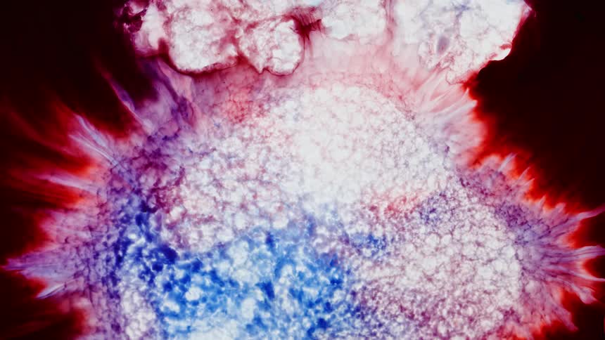An explosion of colors blooms outward