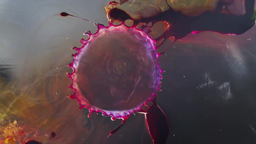 A colorful pink sphere suspended underwater