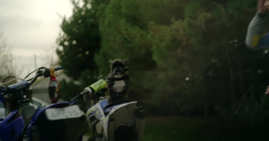 Woman wearing racing suit place dog on seat of motorcycle parked next to other vehicles and pets the animal
