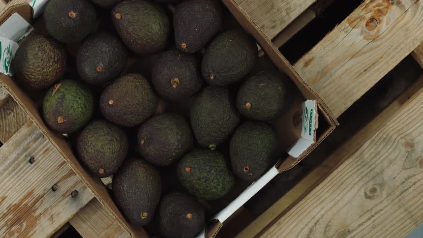 A carton of avocados is put on the pallet