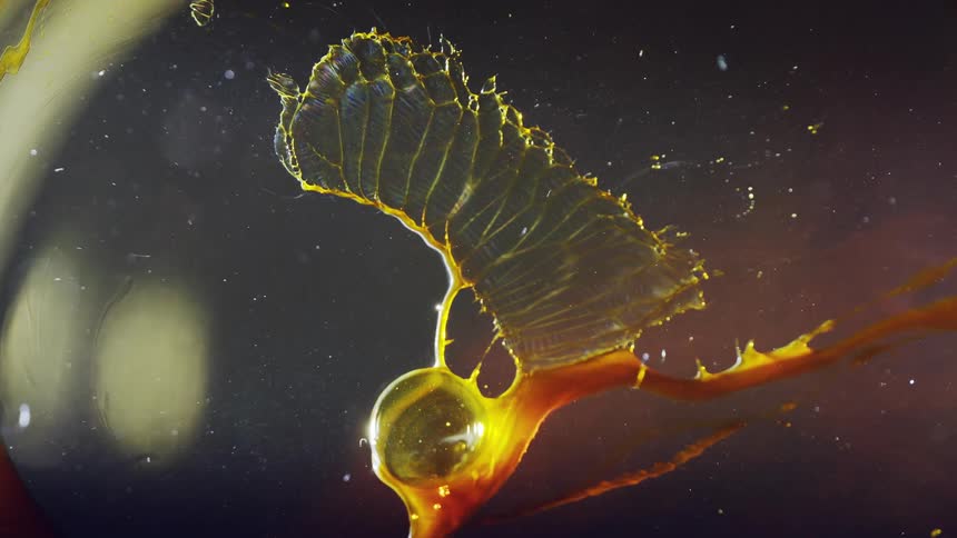 A yellow bubble forming and popping