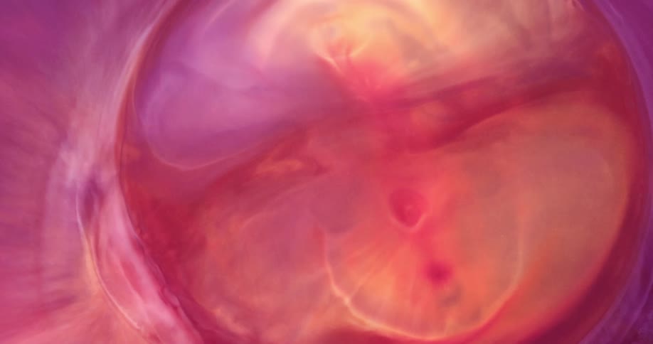 Colors spread through a liquid as the inside pushes outward