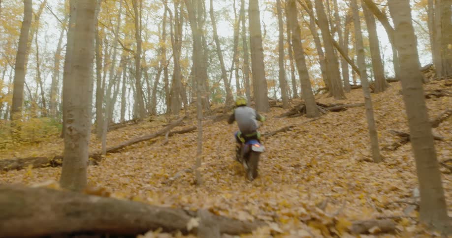 A person is dirt biking through a forest in the fall time