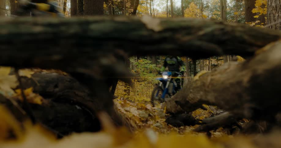 Two people riding motorcycles in a forest on an autumn day