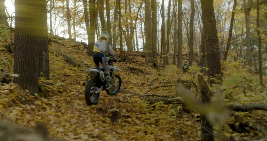 Two people are dirt biking through a forest at dusk