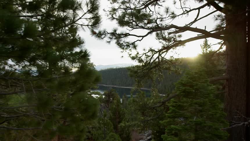 A forest leads to a lake in the distance