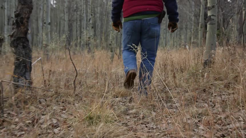 A person in jeans is walking toward some trees