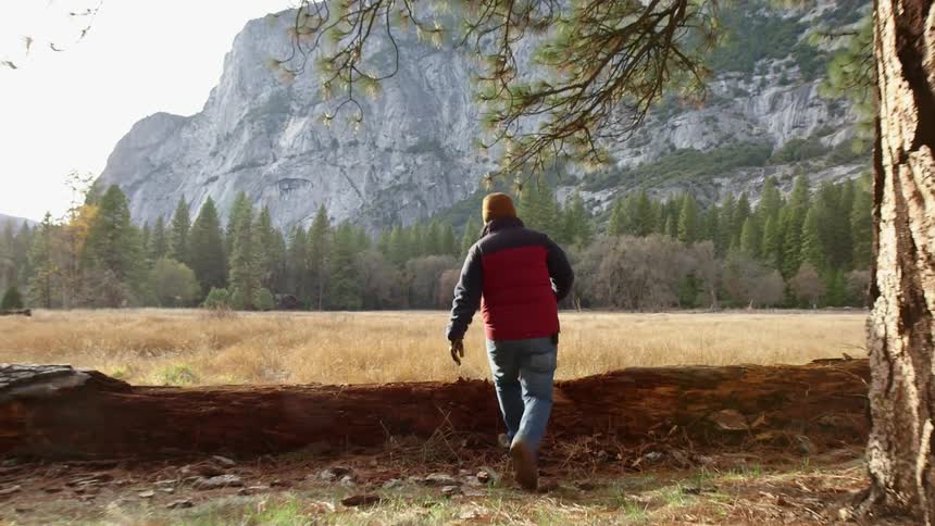 A man hikes along a field climbing over a log towards a mountain