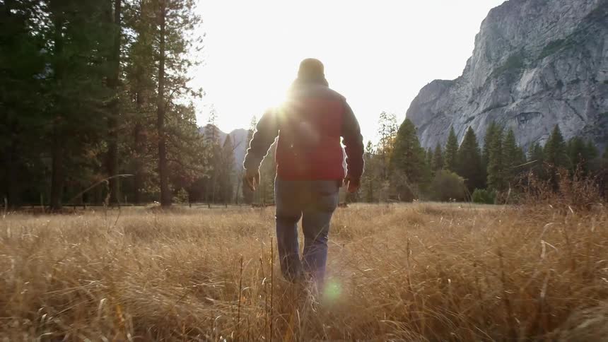 A man walks hikes through some deep grass towards a forest