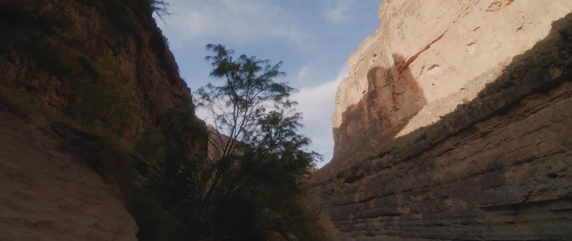 A stream of water and trees in a canyon with tall cliffs