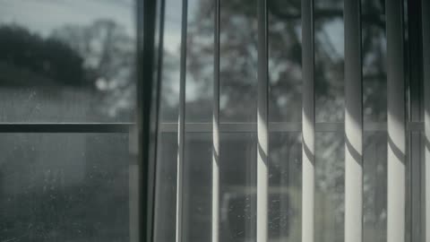 Venetian blinds open up revealing the trees outside a window at morning