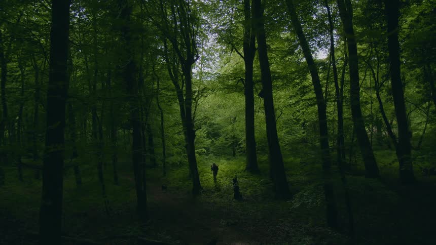 Two people are in the woods with their dog