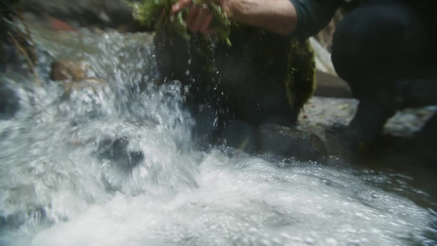 A man washes a handful of plants in a stream while kneeling outdoors during the day