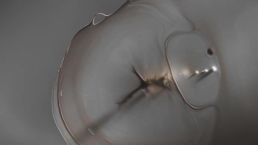 What looks like two cells dividing expand until they explode