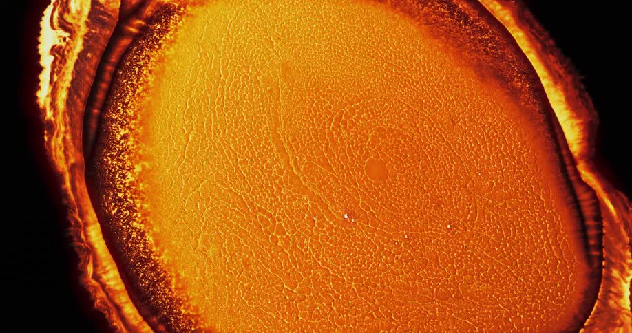 Molten lava like fluid expands against a dark background