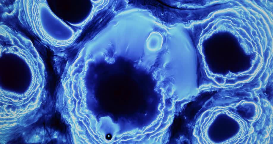 Abstract irregular blobs of dark blue liquid ink flowing