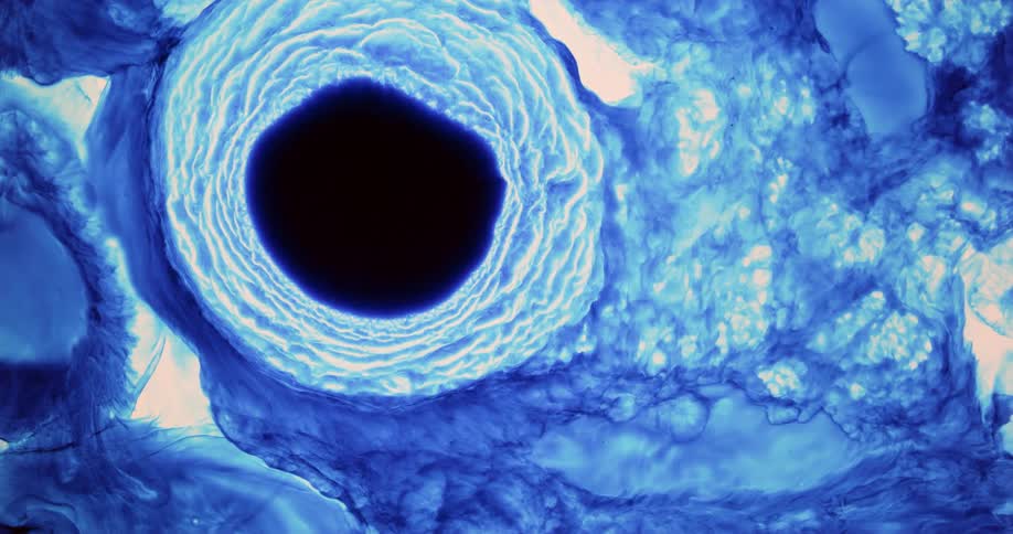 Liquid colors and shapes are displayed in blue color