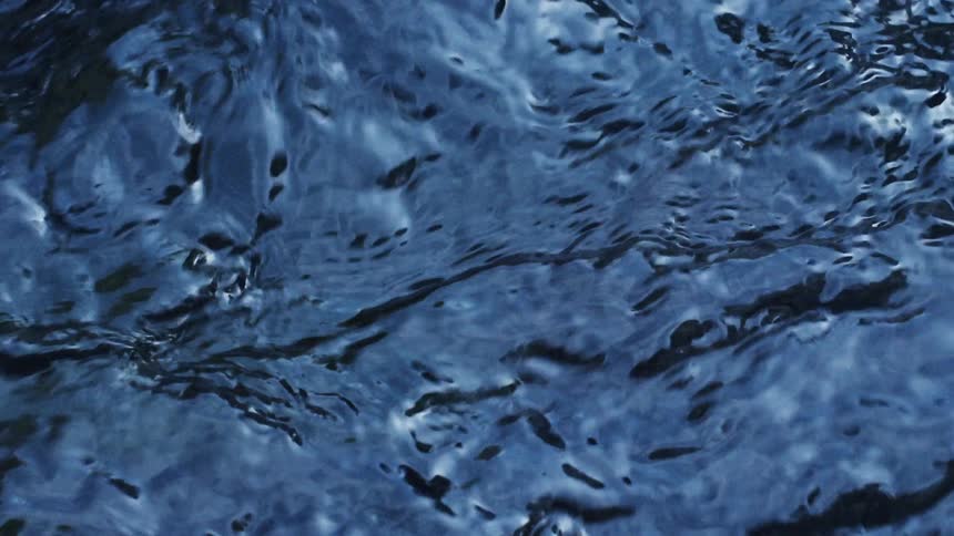 Ripples on the surface of a body of water during the day