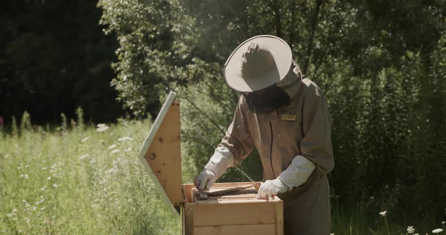 A beekeeper removes part of a hive