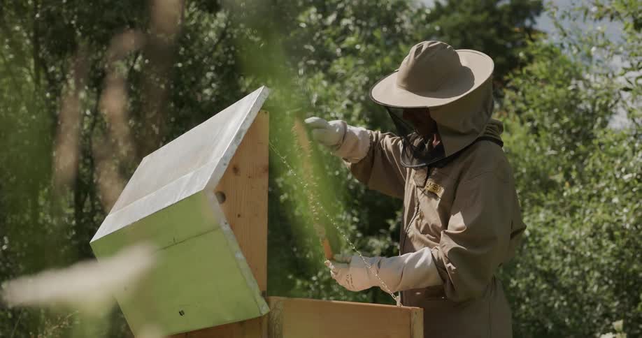 A beekeeper is working on the farm