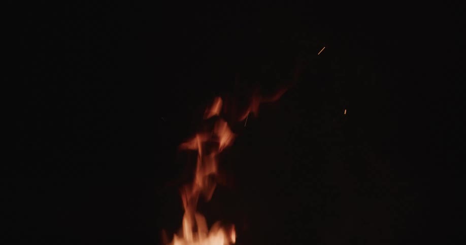 Long logs feed a campfire