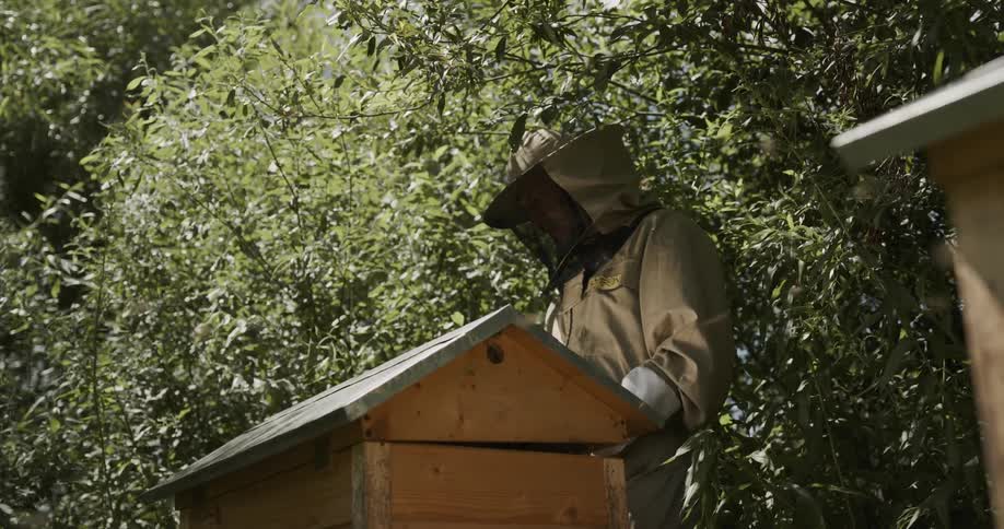 A person closes a beehive after checking it