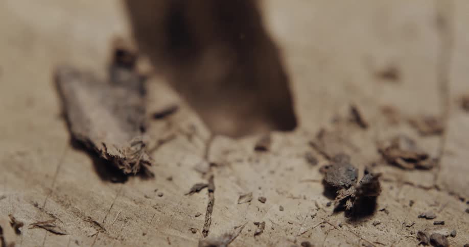 Person carves into wood with metal tool then clears excess pieces with a finger