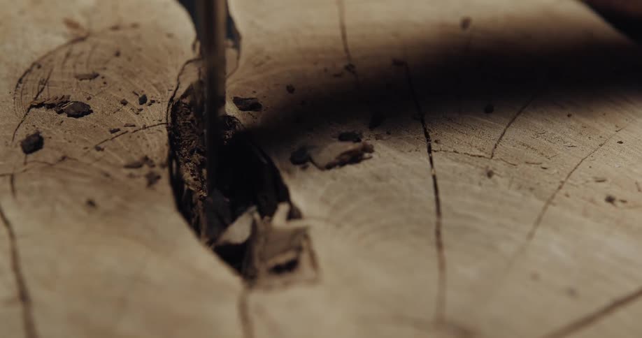 A person hammers a chisel into a stump of wood