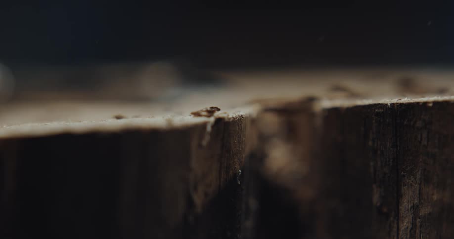Precipitation rains onto wood