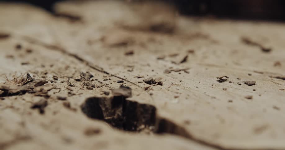 Artisan craftsman carves a tree stump with chisel and hammer inside his workshop