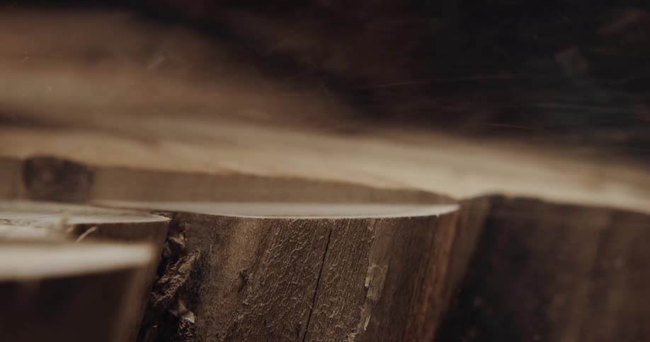 A sander moves over a slice of wood throwing sawdust as it goes