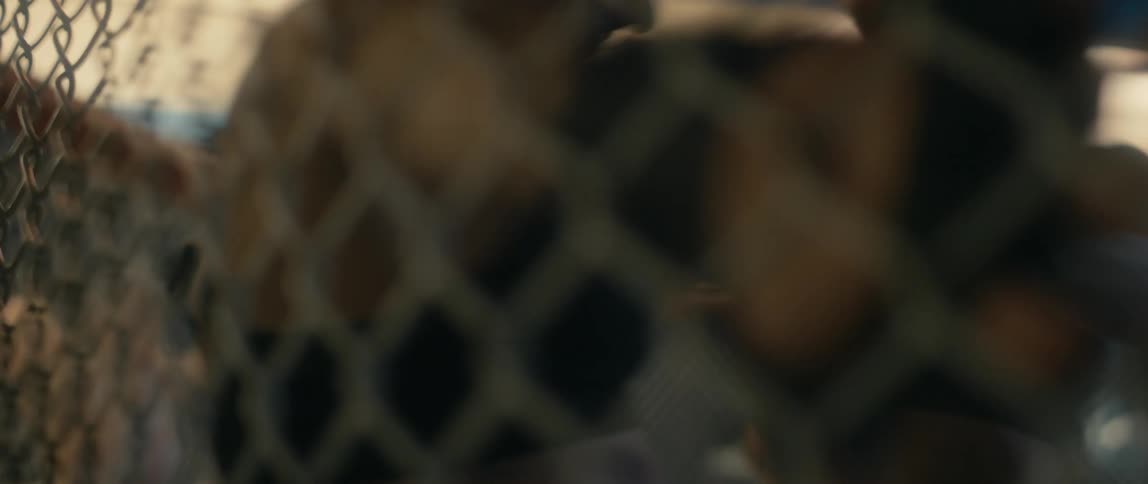 Two aggressive women having a boxing fight in a boxing ring with the referee standing nearby