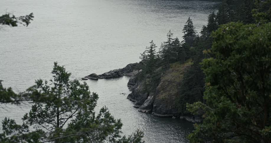 The coast of Bowen Island from a high angle