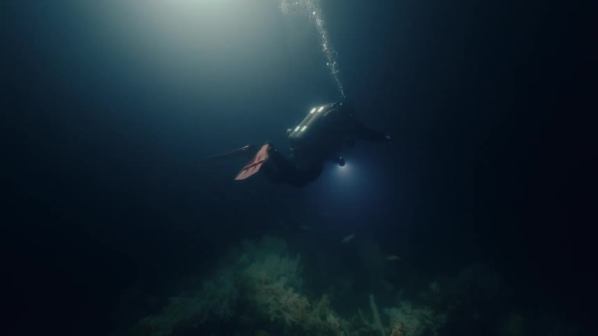 A technical diver explores the depths of Howe Sound and glass sponge reefs