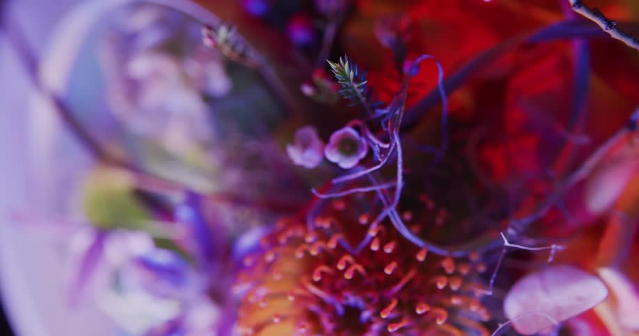 Close up of flower blooms