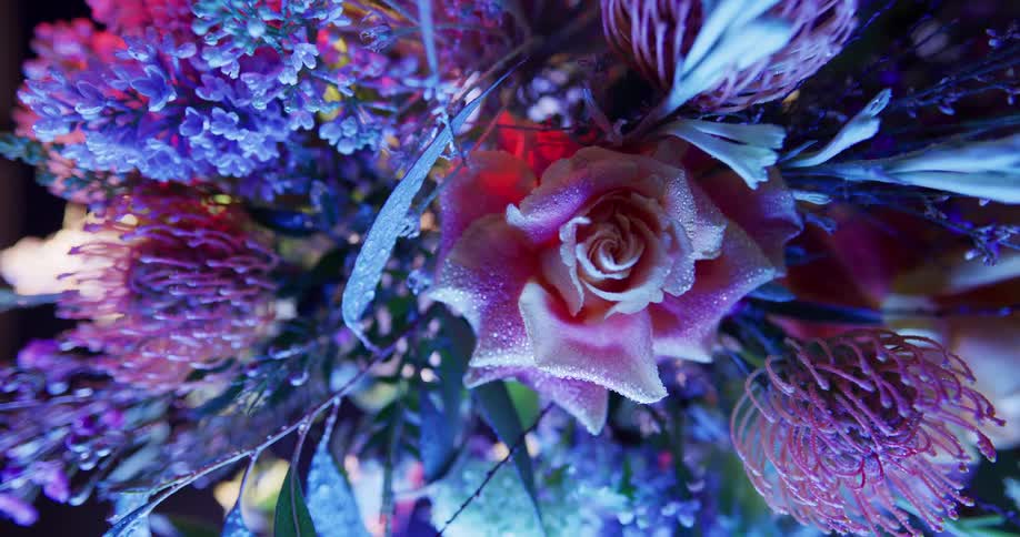 A floral bouquet shines under a purple light