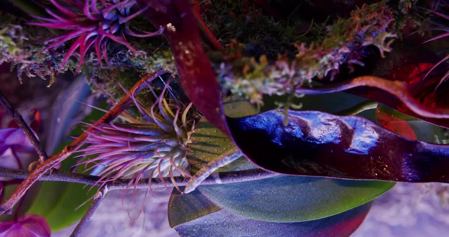 Vivid floral arrangement is formed of flowers in various shades of pink