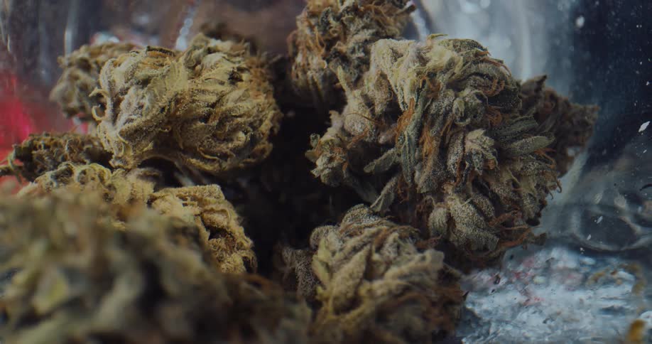 Dried marijuana buds are in a glass jar